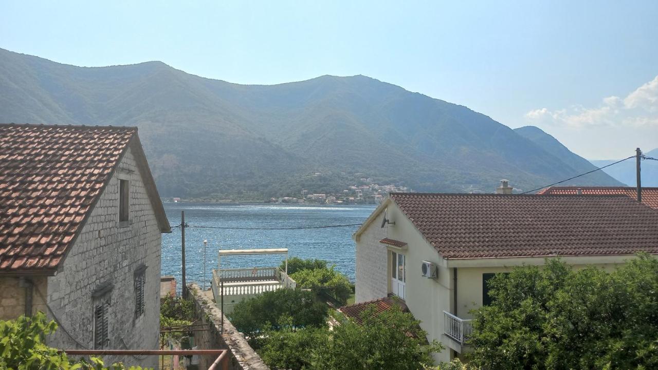 Apartments Vukasovic Kotor Ngoại thất bức ảnh