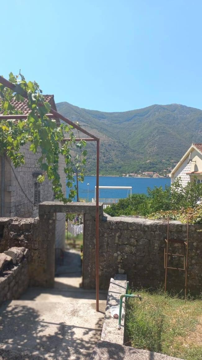 Apartments Vukasovic Kotor Ngoại thất bức ảnh
