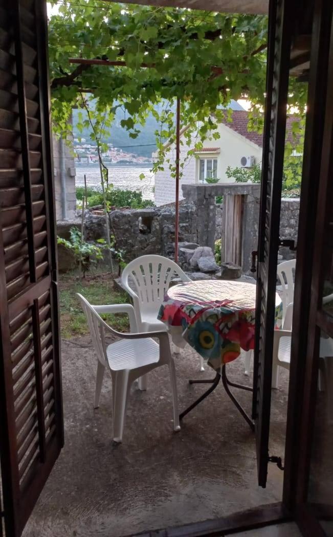 Apartments Vukasovic Kotor Ngoại thất bức ảnh