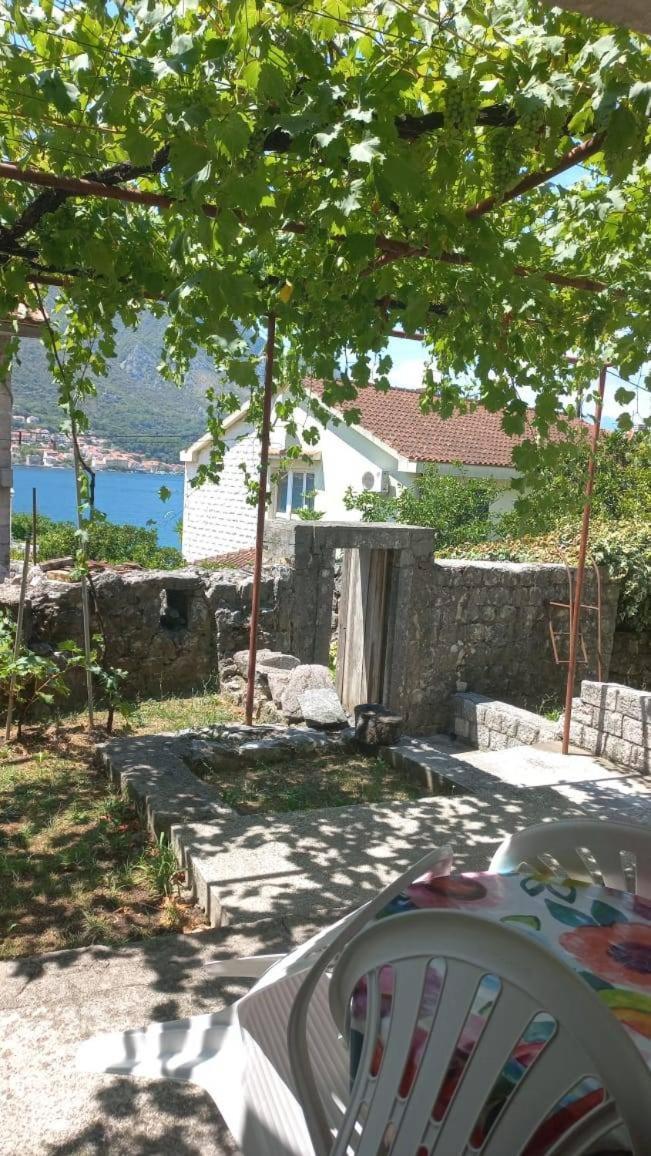 Apartments Vukasovic Kotor Ngoại thất bức ảnh